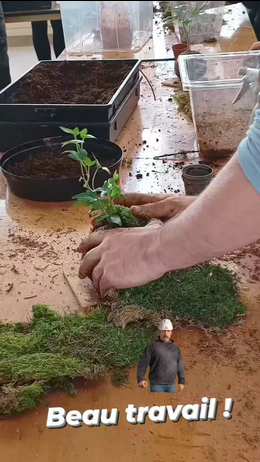 Screenshot 2023 09 05 at 13 59 12 Instagram