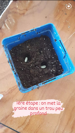 Screenshot 2023 09 05 at 13 59 49 Instagram