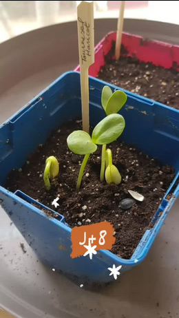 Screenshot 2023 09 05 at 14 00 17 Instagram